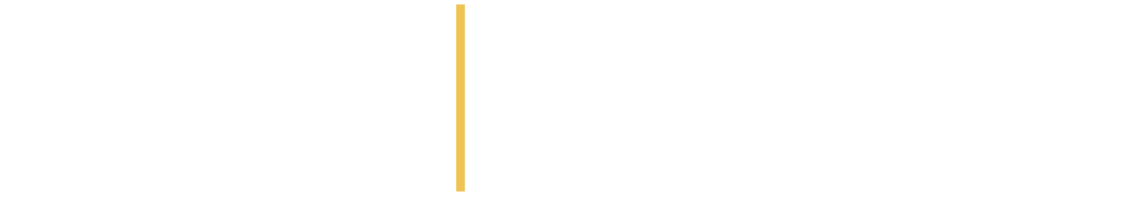 Visio Telcom - GVG product