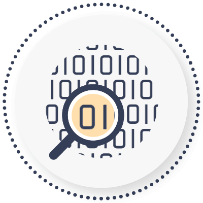 Data Sovereignty icon